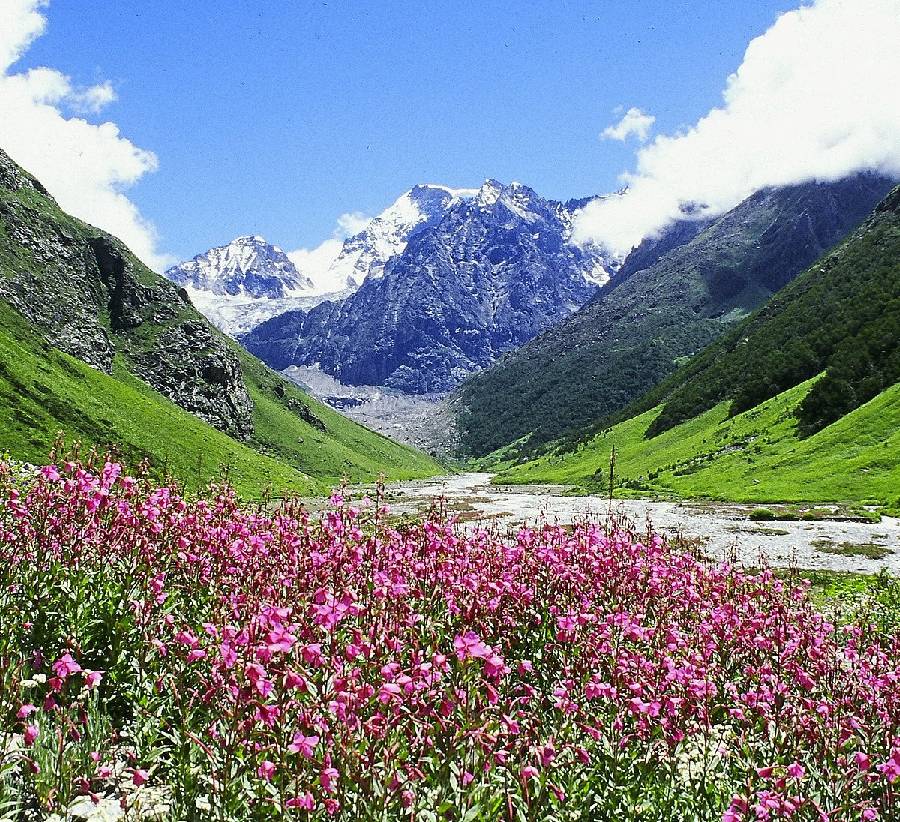 Hotel Near Valley of Flowers